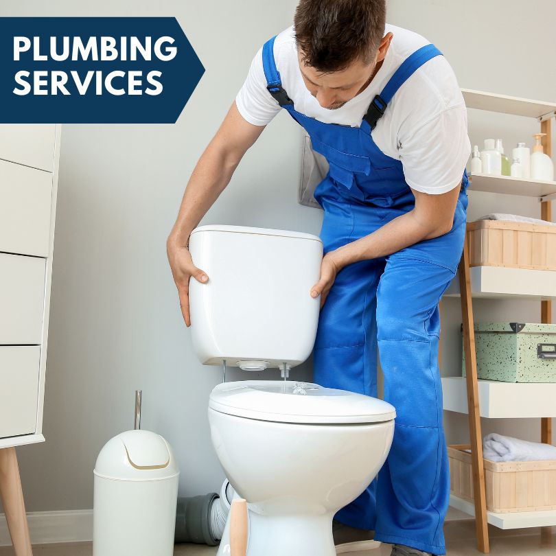 Plumbing Company in Valrico, FL